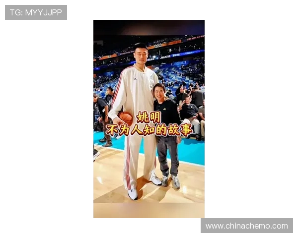 当篮球遇上巨人撞姚明鼻子的那一刻引发的思考与感悟 当篮球遇上巨人撞姚明鼻子的那一刻引发的思考与感悟